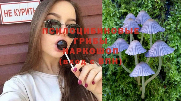бошки Алексеевка